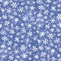 Snow Day-010-343