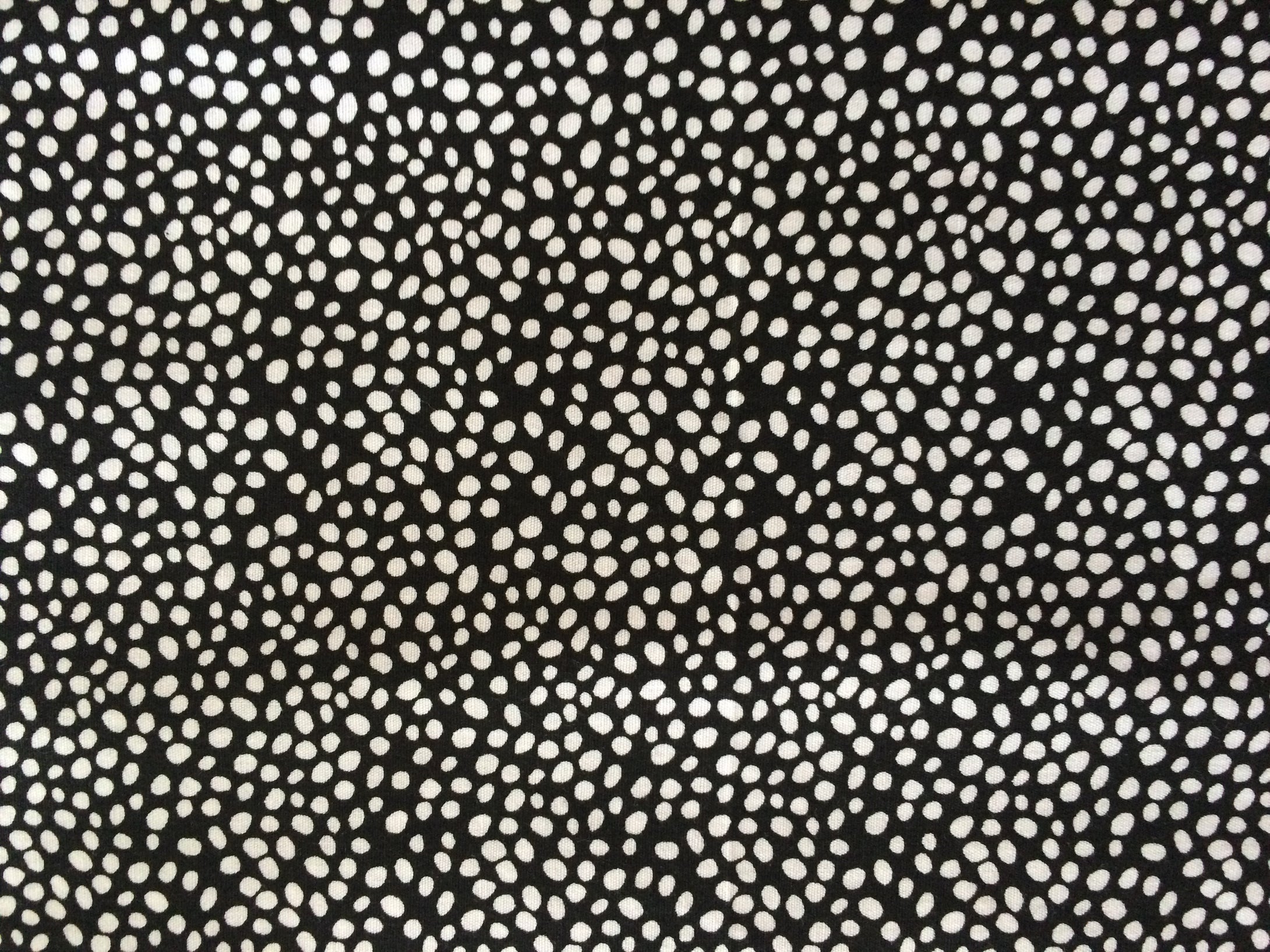Assorted blacks/whites-031-183