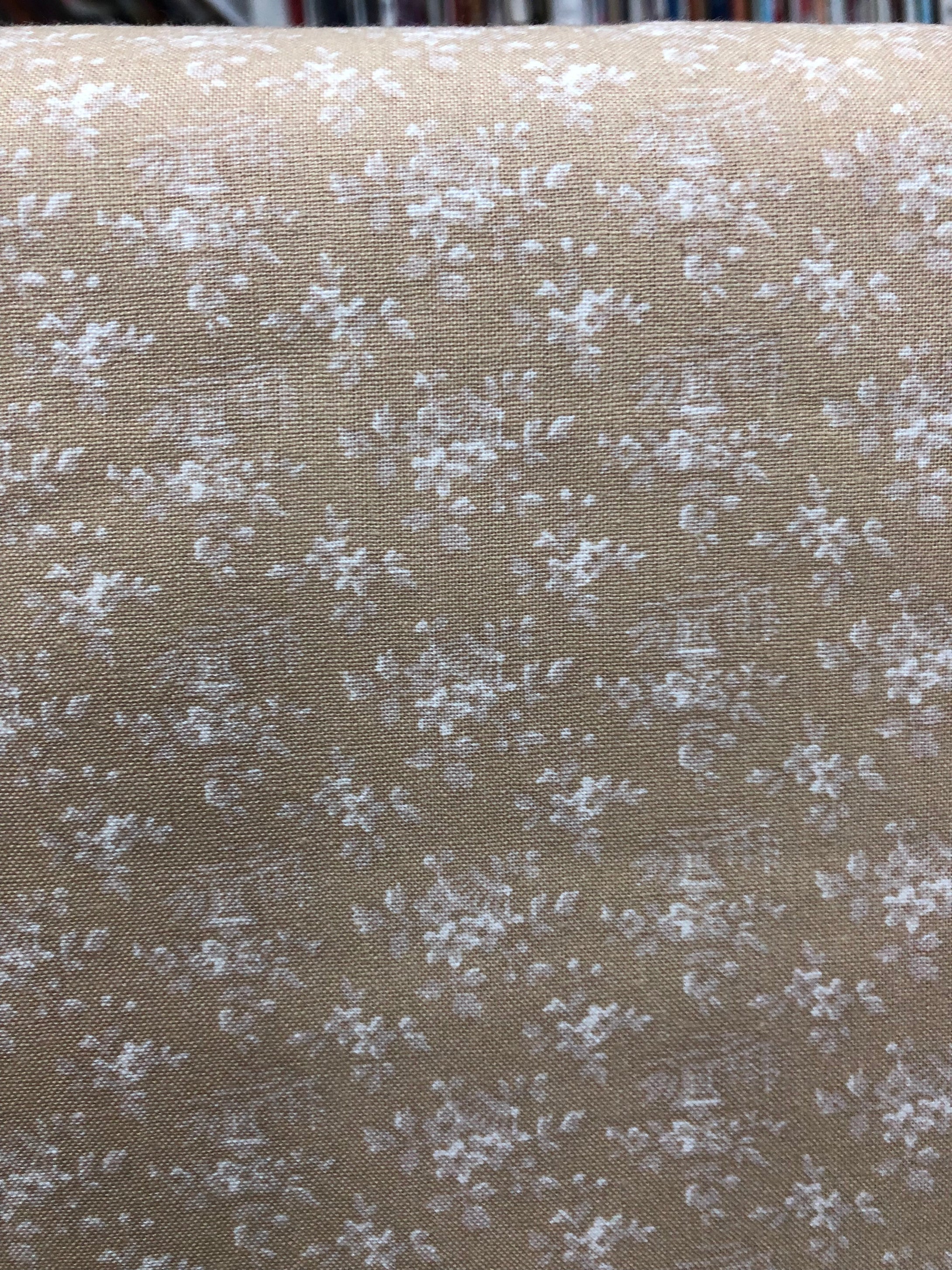 Neutral Creams