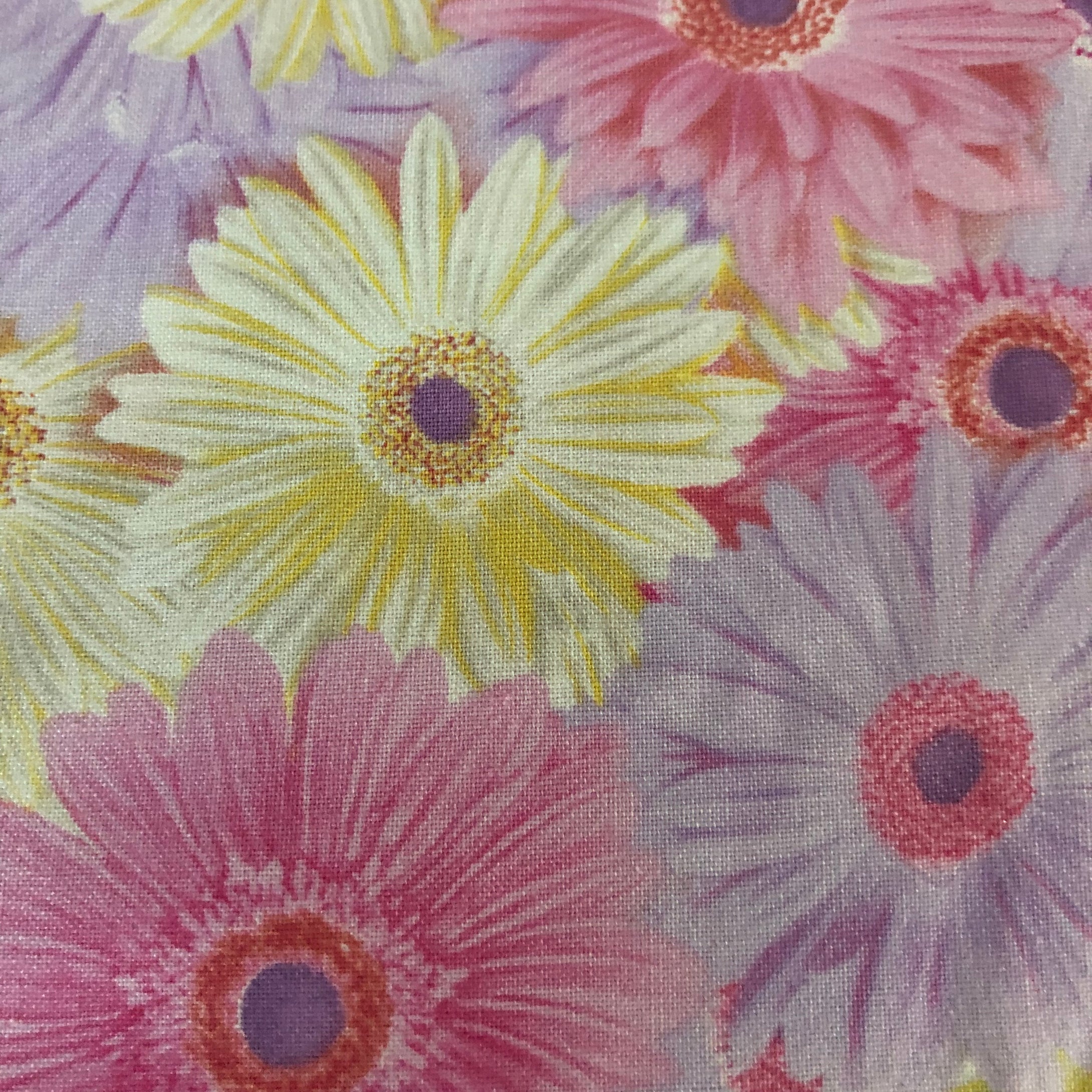 Daisy Garden