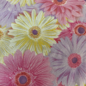 Daisy Garden