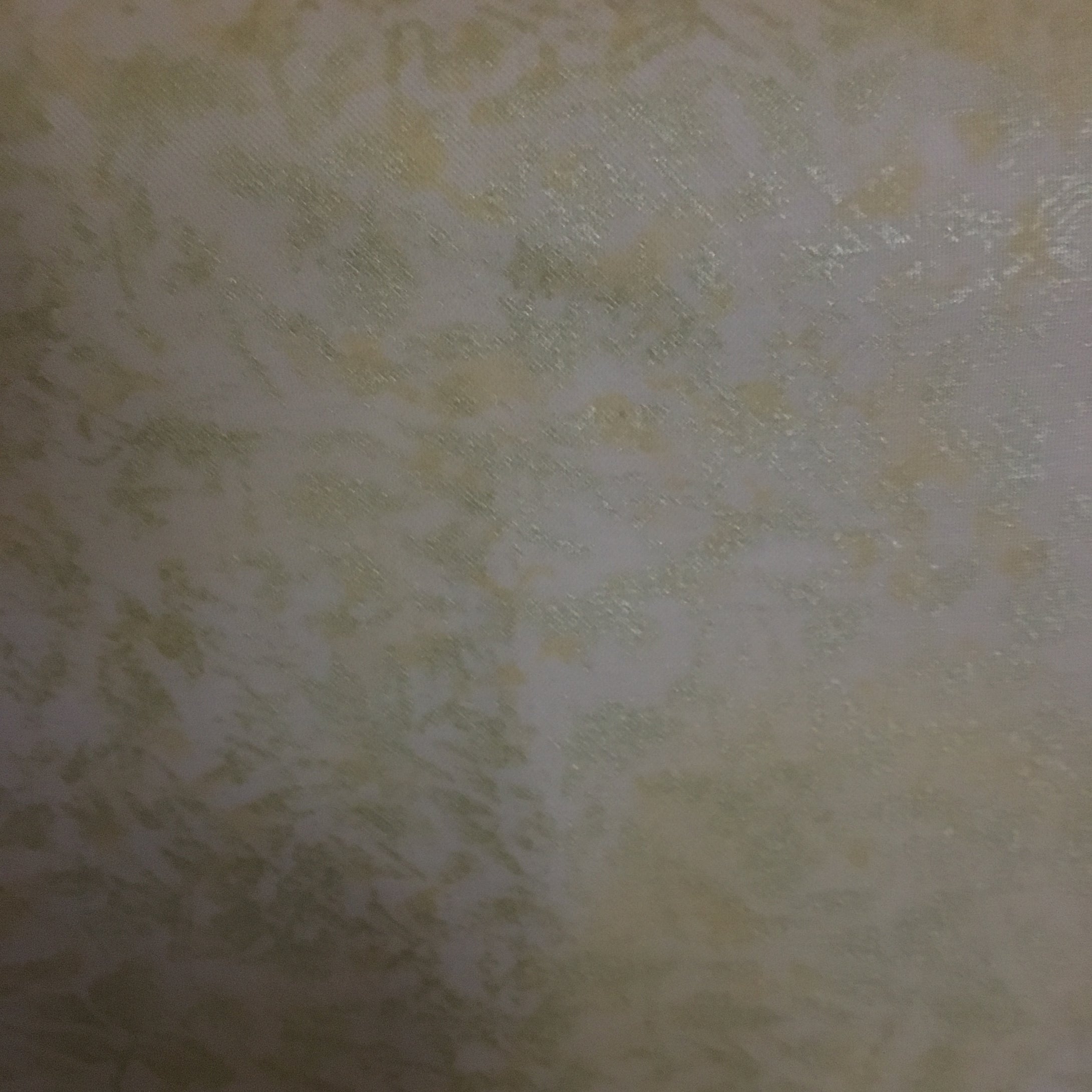 Fairy Frost