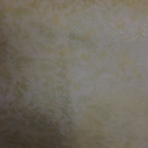Fairy Frost