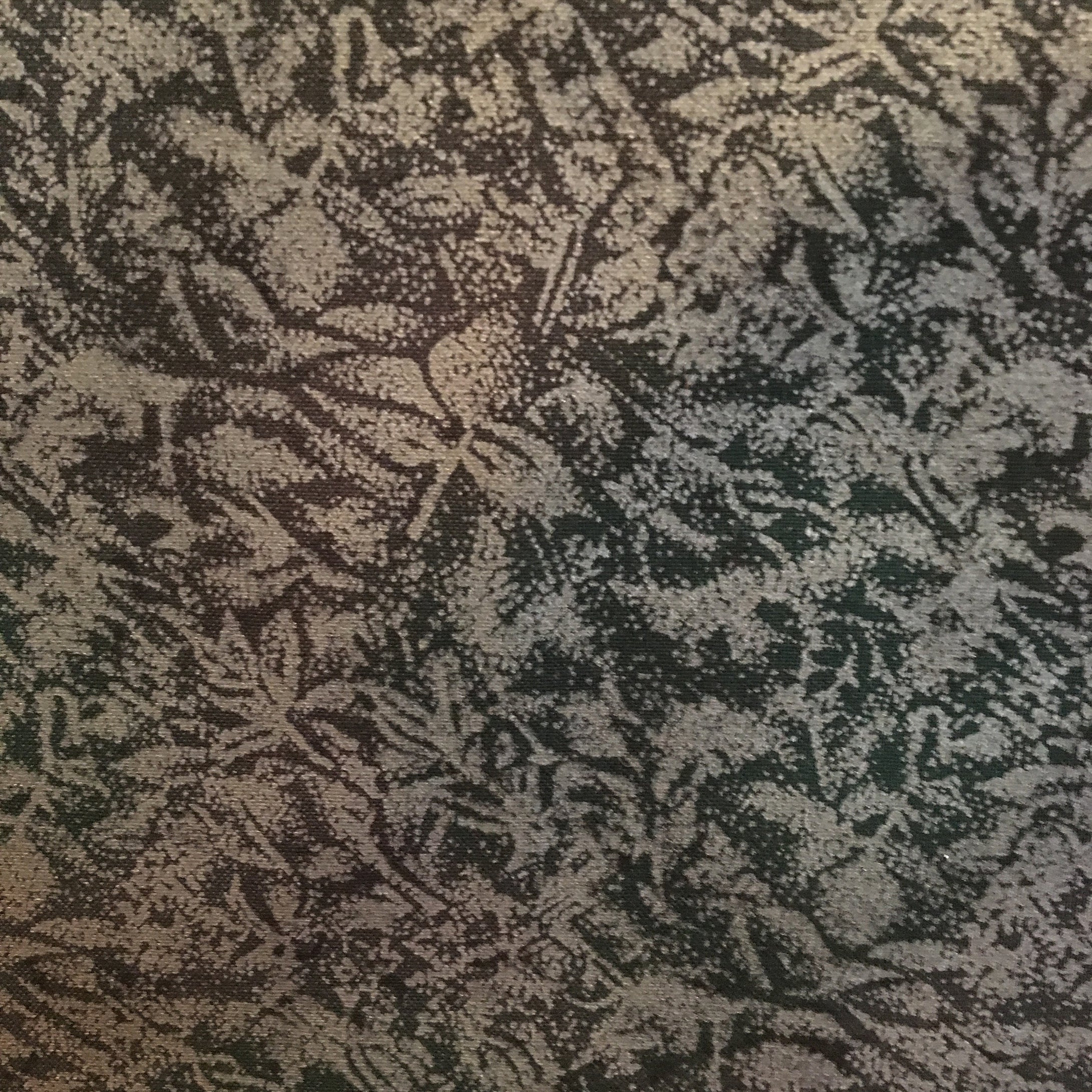 Fairy Frost