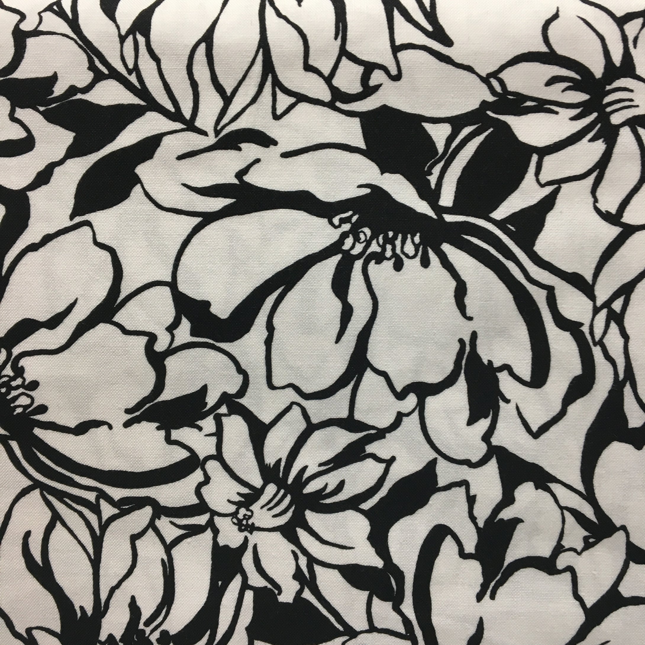 Assorted Blacks and Whites