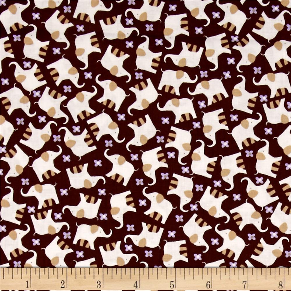 Bella Morocco-003-544
