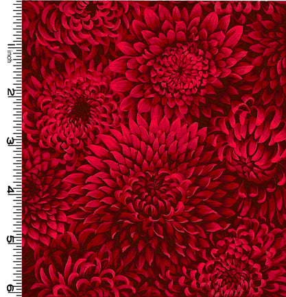 Mumm Tonals-005-514