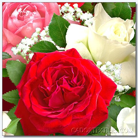 Bed Of Roses-003-318
