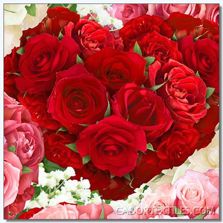 Bed Of Roses-001-318