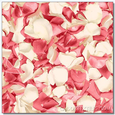 Bed Of Roses-007-318