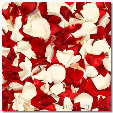 Bed Of Roses-008-318