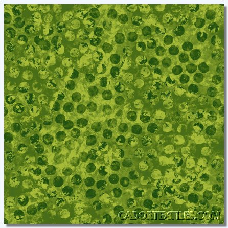 Essentials - Dots and Spots-003-450