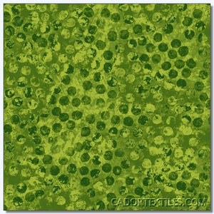 Essentials - Dots and Spots-003-450
