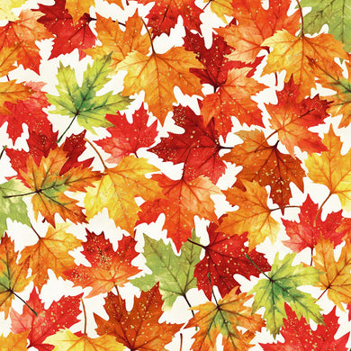 Autumn Is In The Air