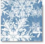 In The Beginning Wintergraphix III-024-26