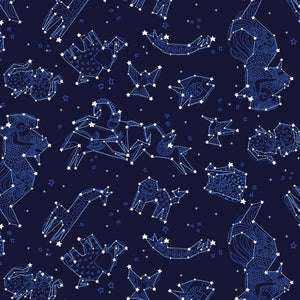 Celestial Magic