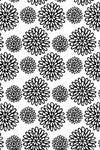Assorted blacks/whites-018-183
