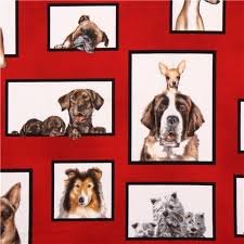 Curious Canines-002-579