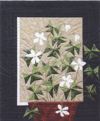 Oxalis