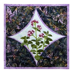 Herb Garden - Oregano