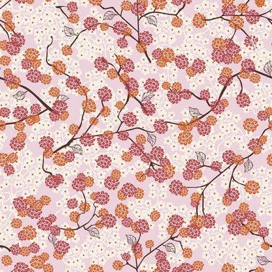 Bloom-003-136