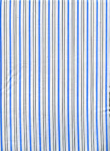 Load image into Gallery viewer, Citrus