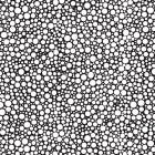 Salt & Pepper-007-180