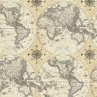 World Map