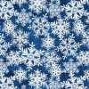 Wintergraphix III