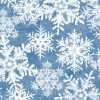 Load image into Gallery viewer, Wintergraphix III
