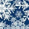 Load image into Gallery viewer, Wintergraphix III
