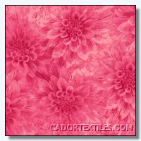 Hello Dahlia-010-166