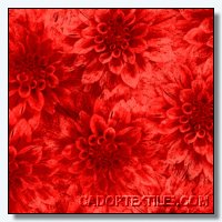 Hello Dahlia-011-166