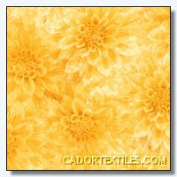Hello Dahlia-012-166