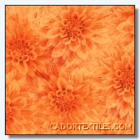 Hello Dahlia-005-166