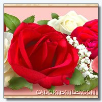 Bed Of Roses-002-318