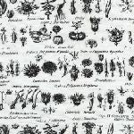 Lakehouse Fabrics