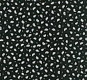 Assorted blacks/whites-038-183